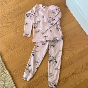 G. Nancy Insect Matching Set